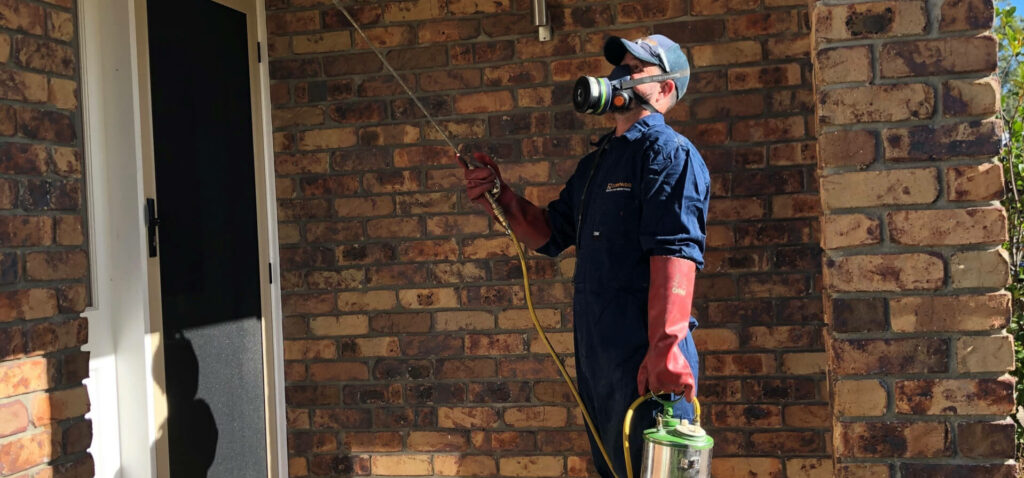 Man dressed in PPE spraying for pests